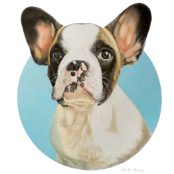 hund-kreis1